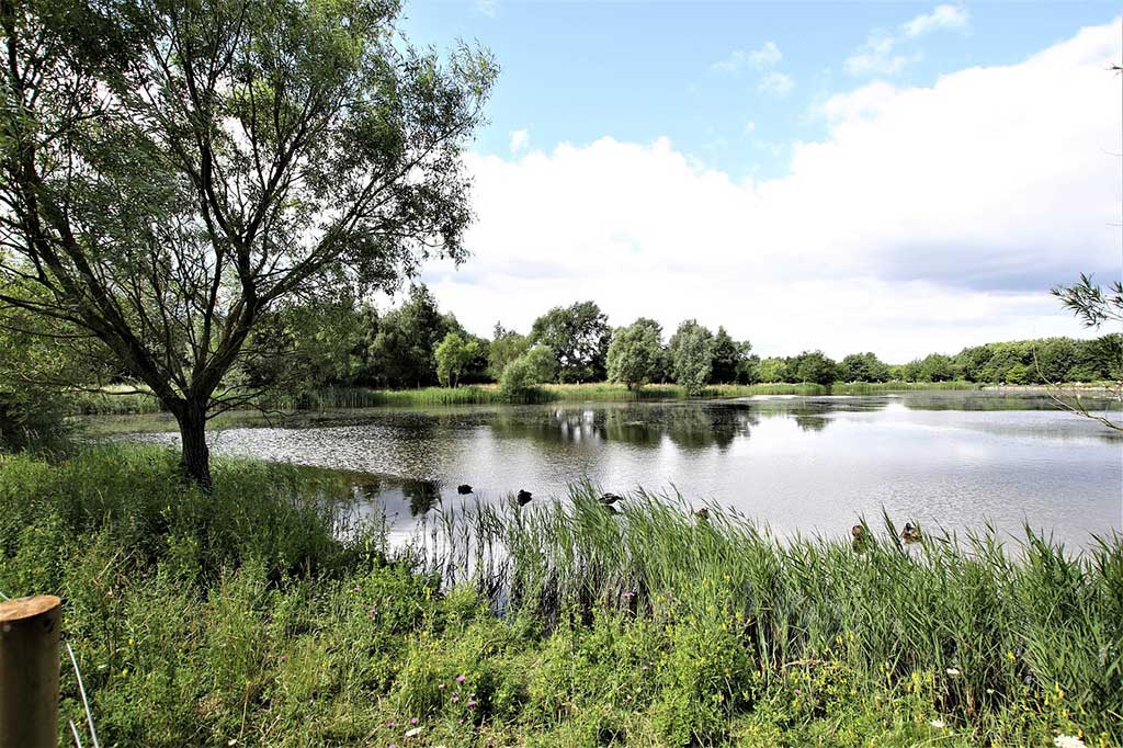 Website Design Hampshire