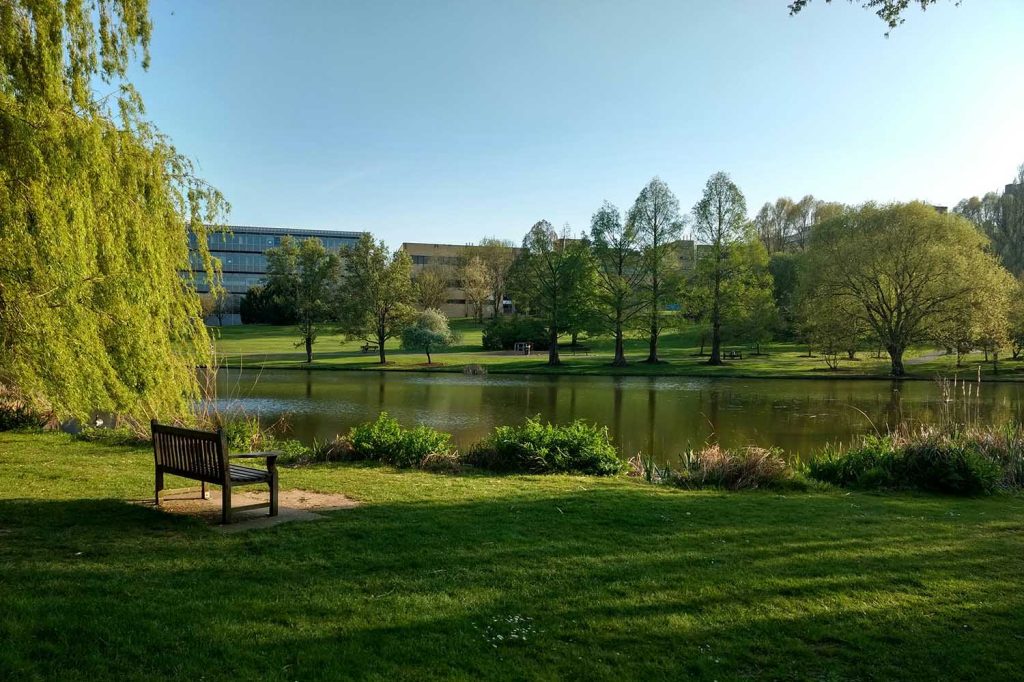 Guildford Web Designer