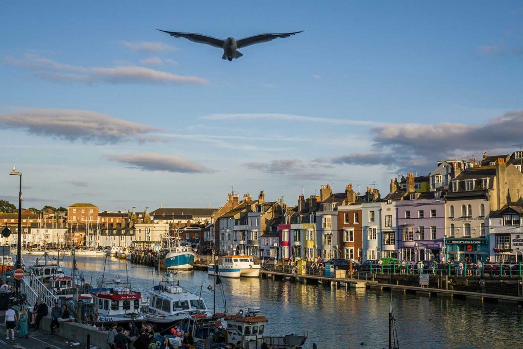 Web Design Weymouth