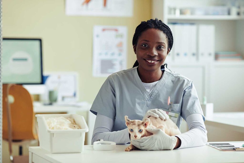 veterinarian website design